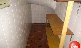 Imagem 4: São Paulo - Casa Padrão - Tucuruvi