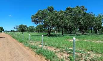 Imagem 6: Chácara de 2 ha com casa próximo à Campo Grande/MS