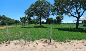 Imagem 5: Chácara de 2 ha com casa próximo à Campo Grande/MS