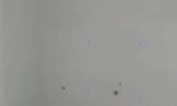 Imagem 4: Blumenau - Casa Padrão - Escola Agricola