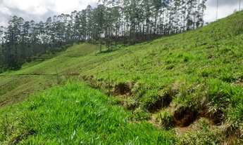 Imagem 7: Venda-se propriedade de 12 ( dezesse Alqueires) no Município de Alfredo Chaves/ES