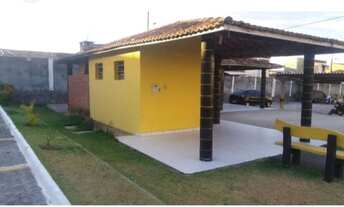 Imagem 6: ! Armando Domingues