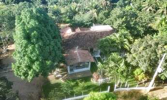 Imagem: Fazenda/Sítio/Chácara para venda com 360