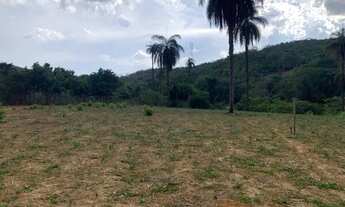Imagem 3: Sitio 7.000 m², 2 casas, área externa com paiol, pomar, terreno fértil, margem rio cipó