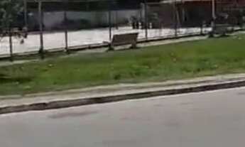 Imagem 6: Vende-se 2 casas ?terrenos do lado