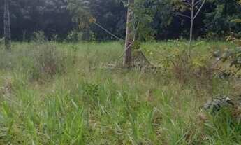 Imagem 6: Terreno para Venda em Entre Rios, Mutuim