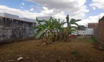 Imagem: Venda Terreno DONA ZULMIRA