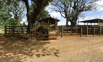 Imagem 7: Fazenda com 58 alqueires à venda em Laranjal Paulista-SP