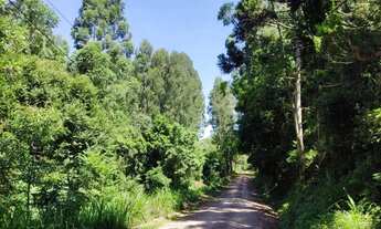 Imagem 2: Sítio / Chácara para Venda em Nova Petrópolis, Linha Brasil Fundos