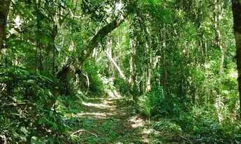 Imagem 7: Sítio / Chácara para Venda em Nova Petrópolis, Linha Olinda