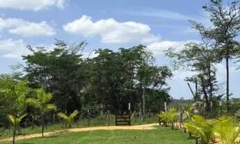 Imagem 7: OPORTUNIDAE ÚNICA