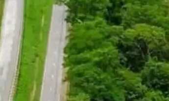 Imagem 3: Chácaras Parceladas 2500m2 no Corumba.