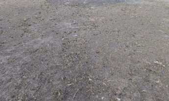 Imagem 4: LOTE DE ESQUINA (AV PRINCIPAL) - MORADA DA BARRA