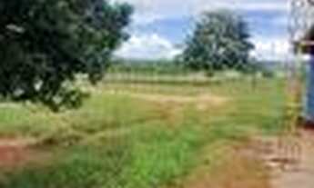 Imagem 2: SITIO A VENDA EM TRINDADE - GO