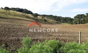 Imagem 4: Sítio em Interior - Lageado Grande - São Francisco de Paula/RS