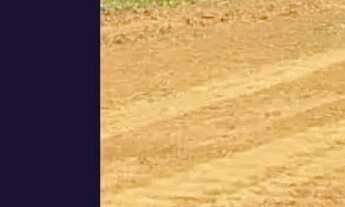 Imagem: ADQUIRA SUA CASA DE CAMPO