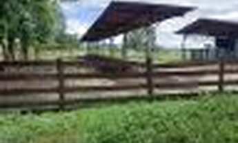 Imagem 4: SITIO A VENDA EM TRINDADE - GO