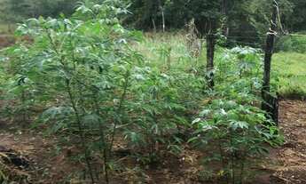 Imagem 5: Sítio Heitorai Chácara com venda por R$1.100