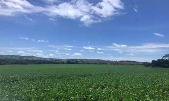 Imagem 4: 25.5 alqueires em Itaberai