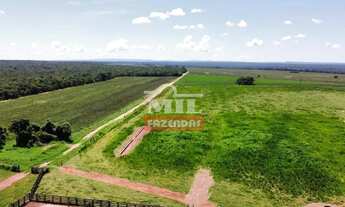 Imagem 4: Fazenda 255 Alqueires (1.234 Hectares) Aragarças - GO