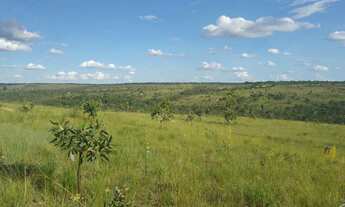 Imagem 2: Vendo terreno em três Marias