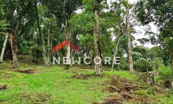 Imagem 2: Lote em Rua dos Pessegueiros - Campo do Meio - São Francisco de Paula/RS
