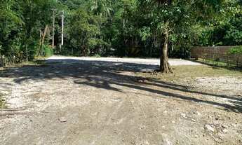 Imagem 7: Terreno plano com mais de 1.000m2