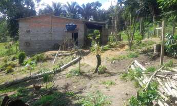 Imagem 4: Sítio Ramal do Urubuí - Presidente Figueiredo AM