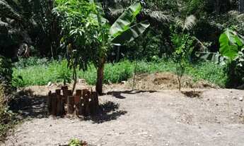 Imagem 6: Casa Igarassu Casa com 2 dormitórios