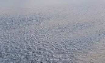 Imagem 4: Linda fazenda de 100t com uma belíssima casa a 28 km de Feita