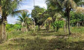 Imagem 3: Vendo maravilhosa fazenda no município de laje