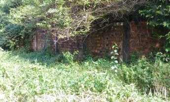 Imagem 4: Sítio/Terreno com 10,6 hectares à venda em Murinim, Benevides, Pará