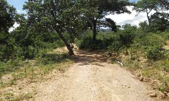 Imagem 3: Áreas 1.000 metros a 69km de Bh entrada R$8 Mil * WhatsApp