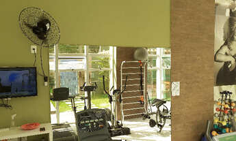 Imagem 3: Port Bellini liga 9 8 7 4 8 3 1 0 8 Diego9989f