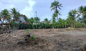Imagem 2: Terreno litoral norte de Ilhéus a 150 mts da praia com energia elétrica