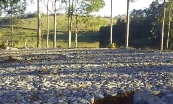 Imagem: Lote/Terreno para venda possui 10.000 metros
