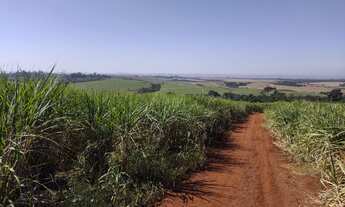 Imagem 4: Fazenda em mococa 100 alqueires 12.000.000.00 ( don