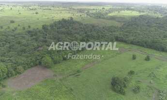 Imagem 7: Fazenda no Pará - Aurora do Pará - PA