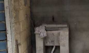 Imagem 6: Aluga-se Casa com 2 dormitórios