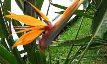 Imagem: Promoção! Apt de 1 quarto em Caldas Novas