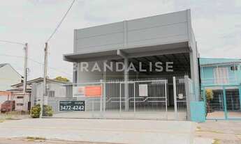 Imagem: CANOAS - Galpão/Depósito/Armazém - Mathias