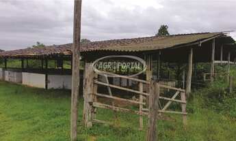 Imagem 3: Fazenda no Pará - Acará - 42 ha (8 alq