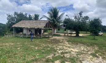 Imagem: Fazenda Em Cruzeiro do Sul