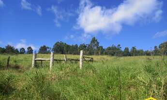 Imagem 7: Fazenda/Sítio/Chácara para venda possui 24000 metros quadrados em Lomba Grande - Novo Hamb