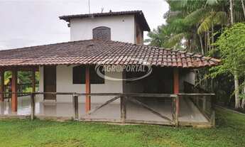 Imagem 7: Fazenda no Pará - Acará - 42 ha (8 alq