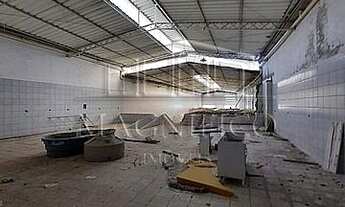 Imagem 6: São Paulo - Galpão/Deposito/Armazém - Vila Romana