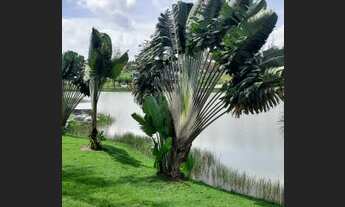 Imagem 3: Lote/Terreno para venda tem 510 metros quadrados em itaporanga - São Cristóvão - Sergipe