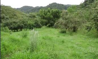 Imagem 7: Fazenda/Sítio/Chácara para venda tem 4509999 metros quadrados em Zona Rural - Silva Jardim