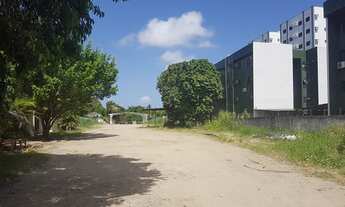 Imagem 5: Lote/Terreno para aluguel e venda possui 4350 metros quadrados em Iputinga - Recife - PE