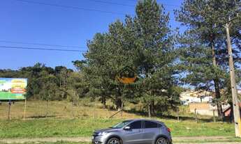 Imagem 3: Área à venda, 29040 m² por R$ 6.000.000,00 - Bom Jesus - Campo Largo/PR